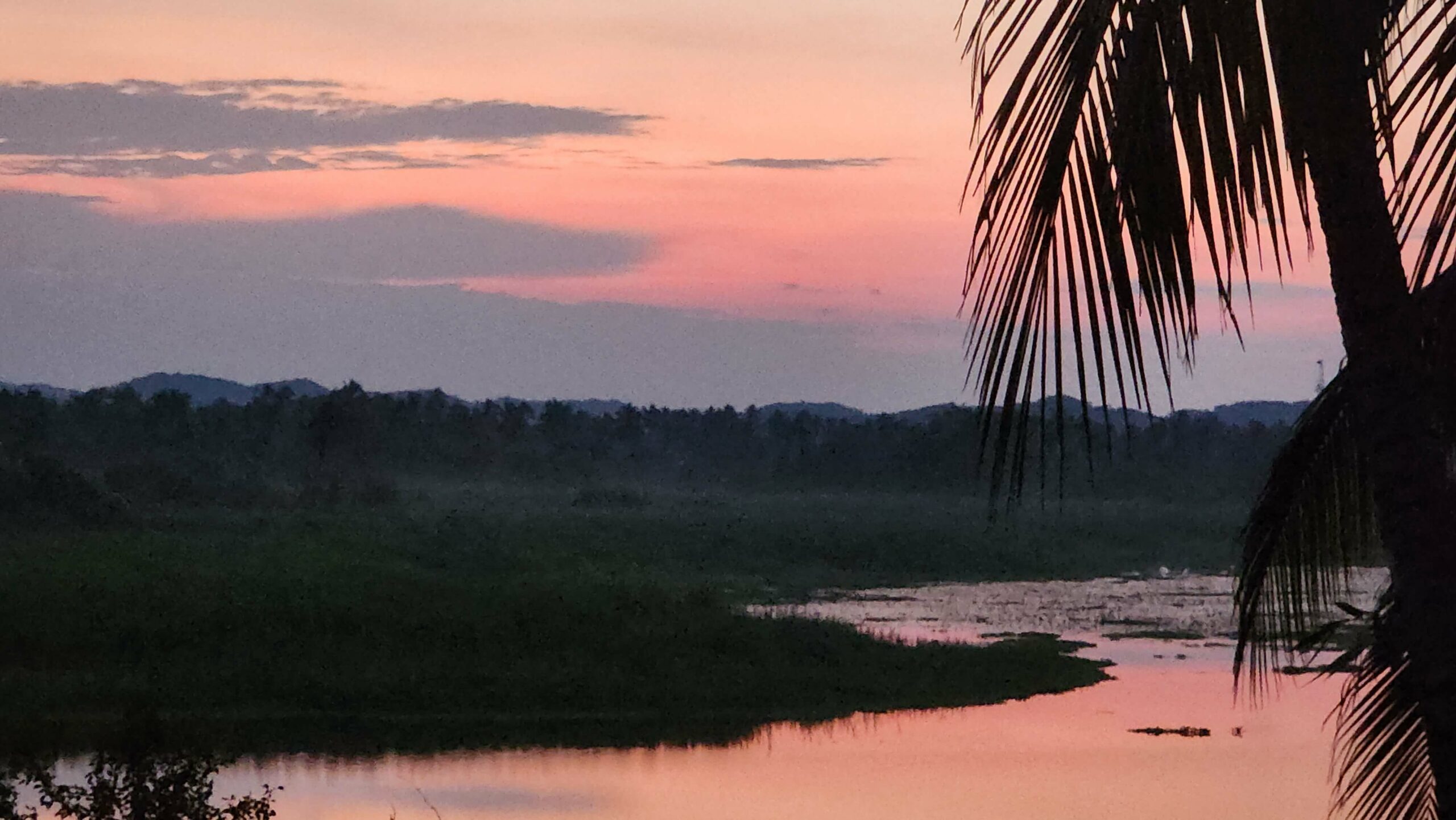 View from palappa 200 hour yoga teacher training and 300 hour yoga teacher training Mexico