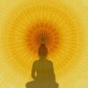 The Purification Set: Kriyas, Basic Pranayama, Meditation, Karma and Reincarnation - Image 4
