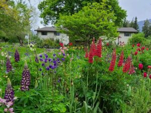 Yoga Retreat, 2025, BC, British Columbia, Sorrento, Canada, Shuswap, Salmon Arm