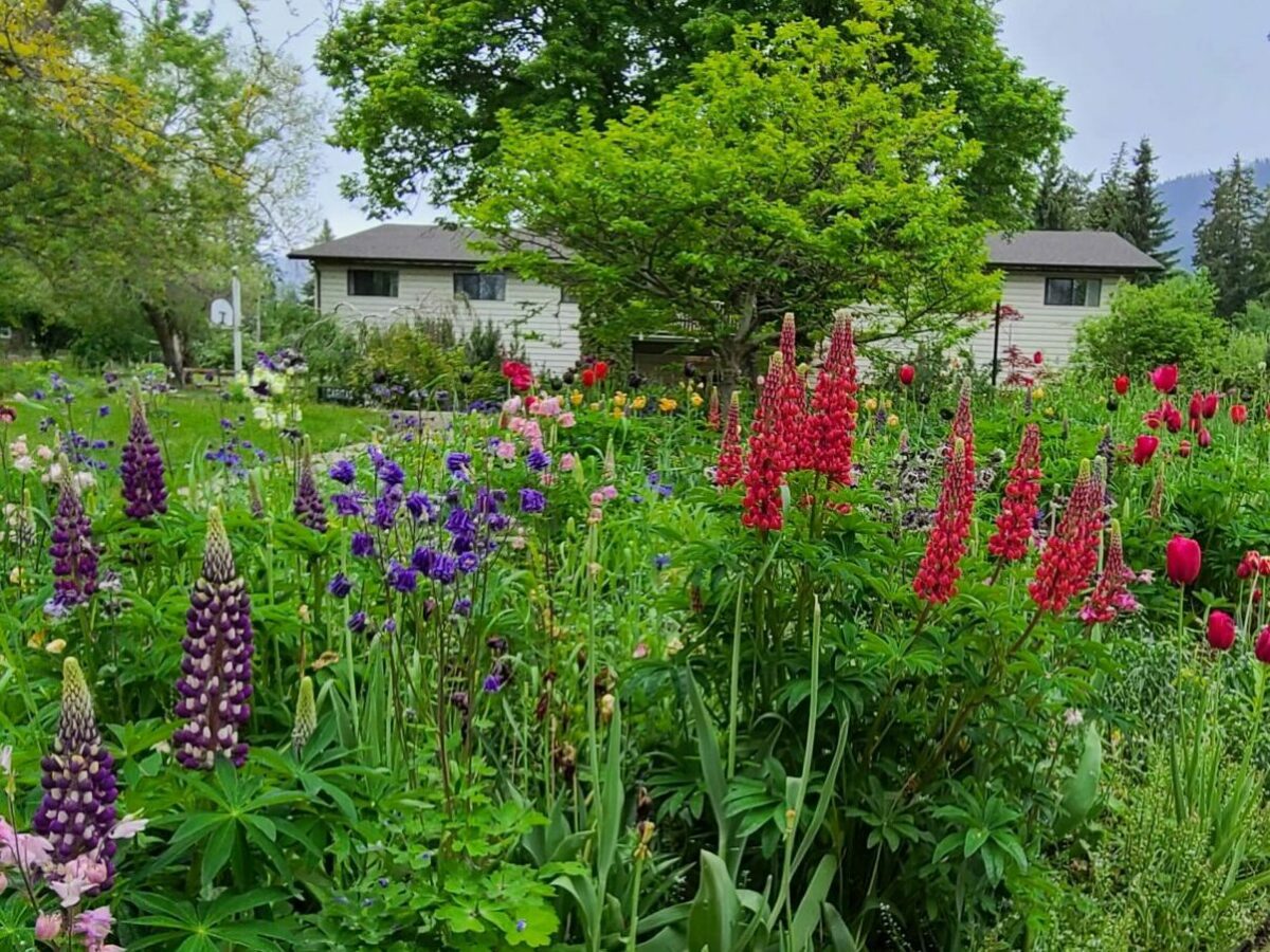 Sorrento Centre's beautiful grounds