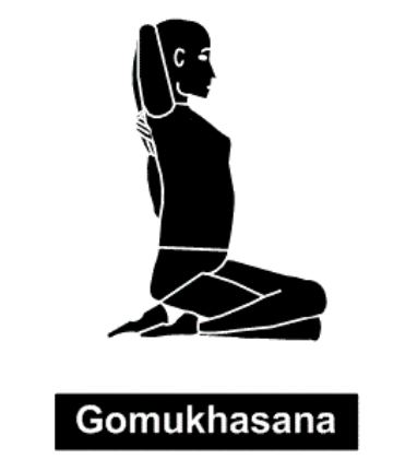 Gomukhasana