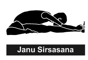 Janu Sirsasana
