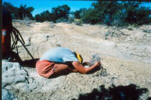 Paschimottanasana