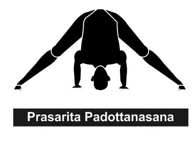 Prasarita Padottanasana
