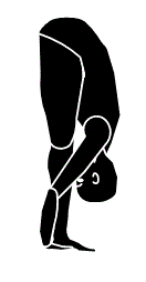 Uttanasana-Padahastasana Uttanasana, a classic forward bend pose, balances both sides of the body.